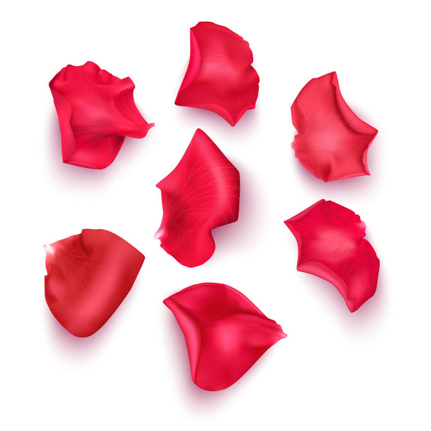 La serie di petali di rosa, il primo piano su uno sfondo bianco può esser usata per progetto di saluti romantici. Illustrazione del vettore Eps10 - Vettoriali, immagini