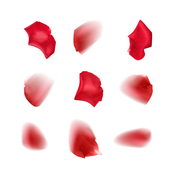 Definir pétalas de rosa no fundo branco, pétalas de rosa borradas de cor vermelha voando aleatoriamente no ar, ilustração vetorial
 - Vetor, Imagem
