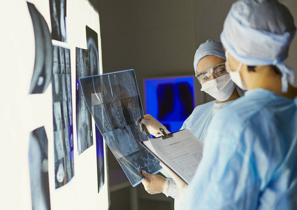 Due donne mediche che guardano i raggi X in un hospita
 - Foto, immagini