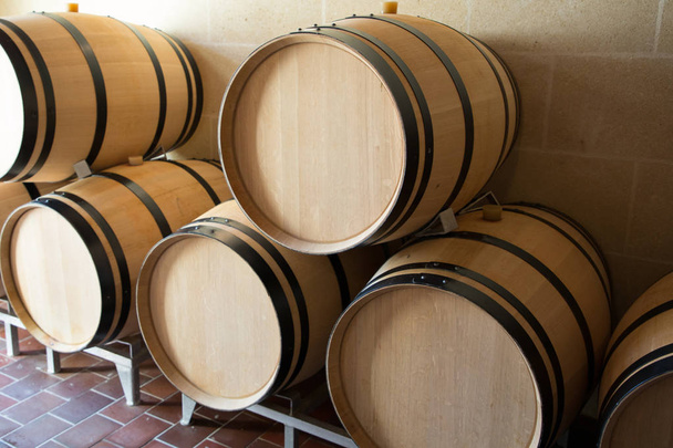Wine Barrel in cellar winery storage - Photo, Image