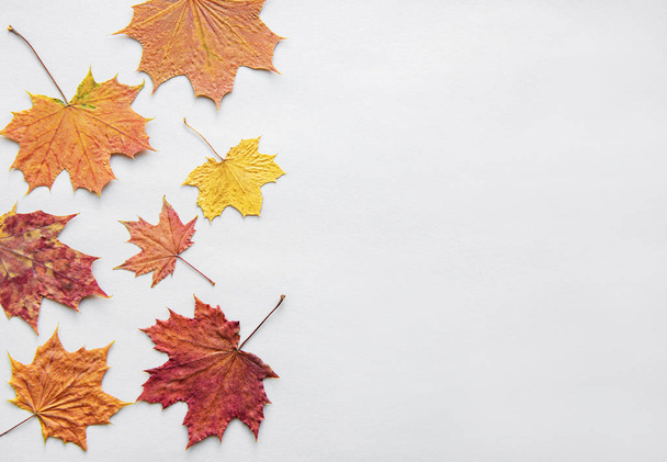 őszi összetétele - Fotó, kép