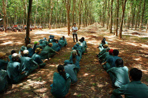Reunión de trabajadores en plantación de caucho
 - Foto, imagen