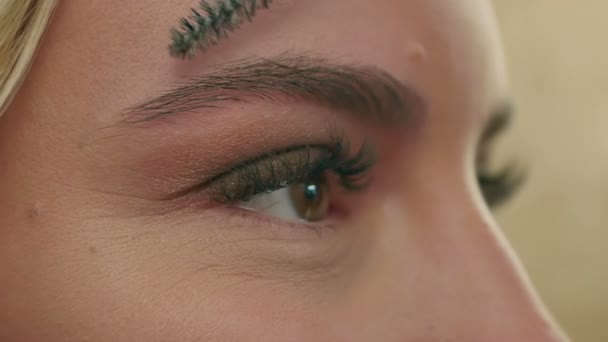 Makeup artist combs the eyebrows, prepearing model - Кадры, видео