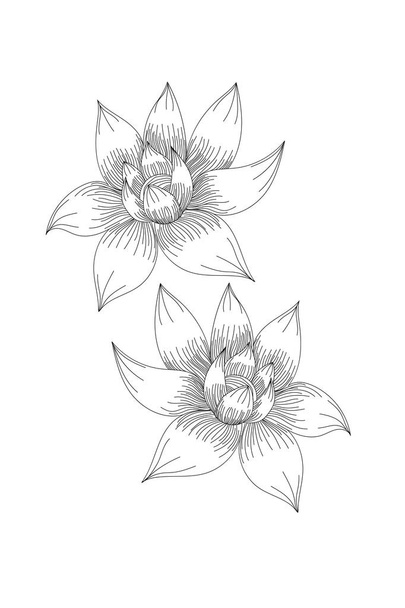 květiny, ikona rozbalení Lotus line na bílém pozadí - Vektor, obrázek