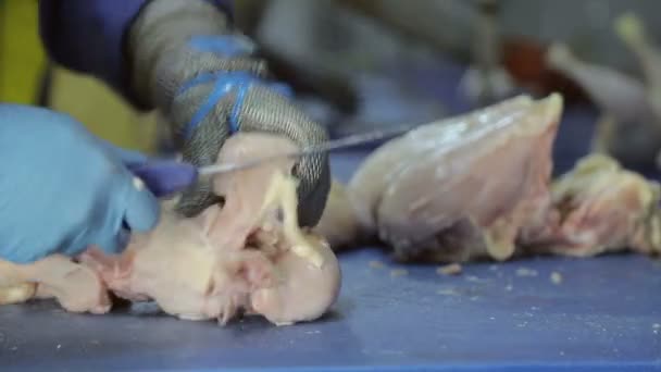 会社のKubny計画の従業員は、鶏肉のデボニングに費やしています。チキンを切る肋骨を持つ鶏の胸肉は、太ももから分離されています。鶏肉を共有する手のクローズアップ - 映像、動画