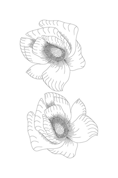 flores, matthiola linha expandir ícone no fundo branco
 - Vetor, Imagem