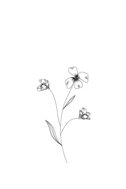 flowers, meadow flower line expand icon on white background - Wektor, obraz