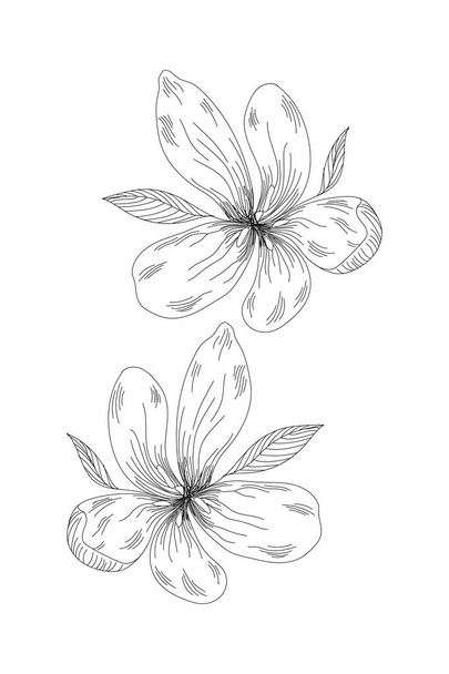 flores, línea de flores silvestres ampliar icono sobre fondo blanco
 - Vector, Imagen