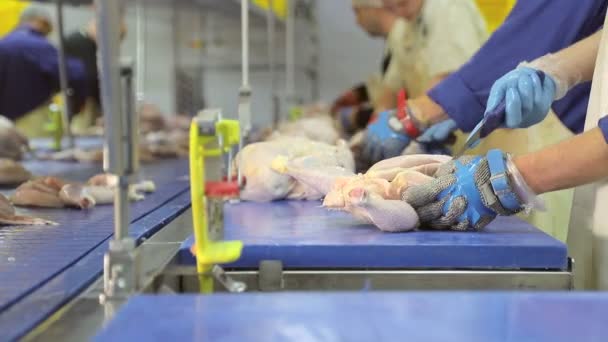 kubny plan Mitarbeiter in der Firma verbringen entbeintes Hühnchen. schneidet Hühnerstücke. Hühnerbrüste mit Rippen sind von Schenkeln getrennt. Hand Nahaufnahme, die das Huhn teilen - Filmmaterial, Video