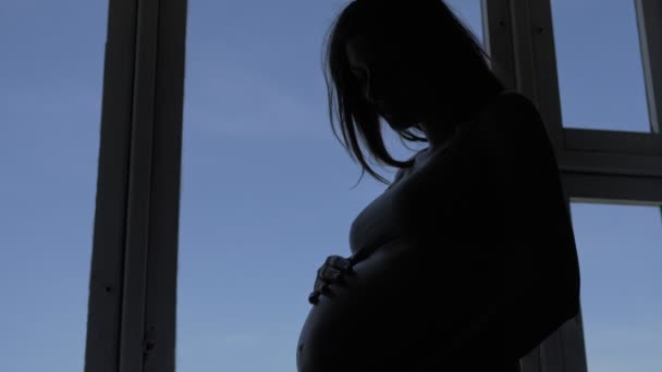 silhouette di sottile donna incinta accarezzando il suo stomaco in piedi vicino alla finestra
 - Filmati, video