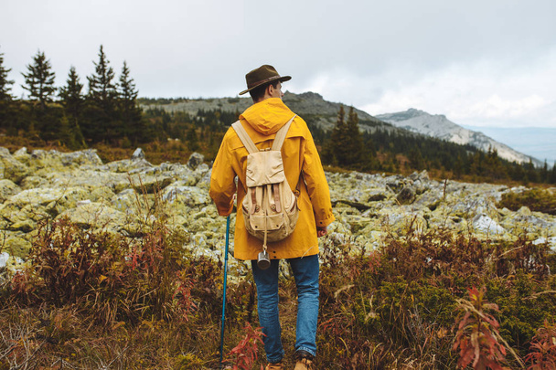 stylish guy observing beautiful valley with stones and forest - 写真・画像
