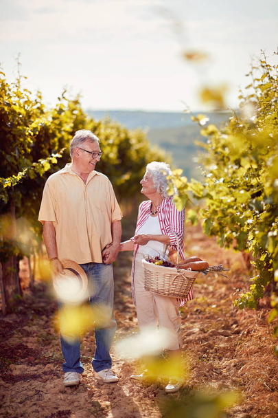 Wine and grapes. Harvesting grapes. Smiling couple in vineyard celebrating harvesting grape - Фото, зображення
