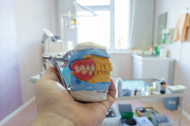 prótesis dentales extraíbles en las manos de un médico
 - Foto, Imagen