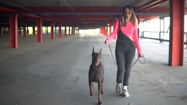 Modna dziewczyna idzie z psem rasy Doberman na smyczy - Materiał filmowy, wideo