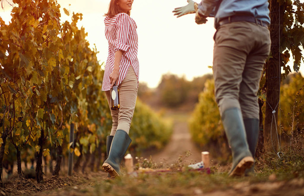 Grape Vineyard fields. Grape harvesting. Young farming couple with wine on  vineyard - Foto, Imagen