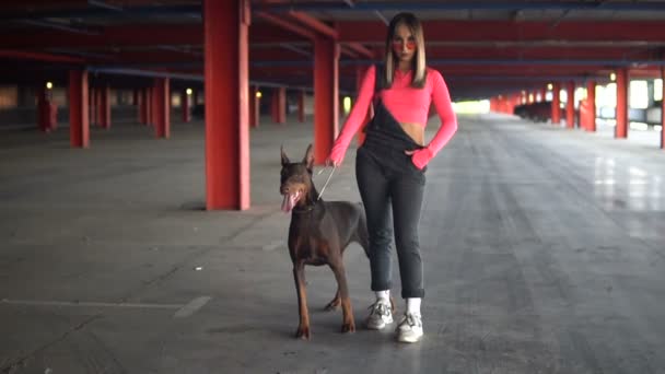 The girl let go of the dog breed Doberman - Footage, Video