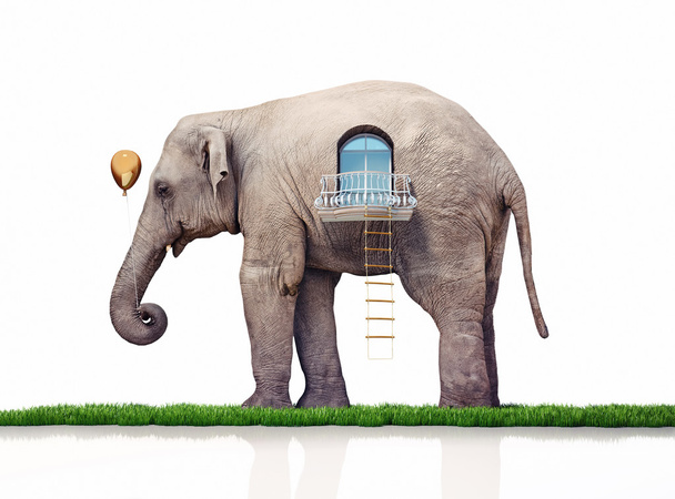 слон як будинок
 - Фото, зображення
