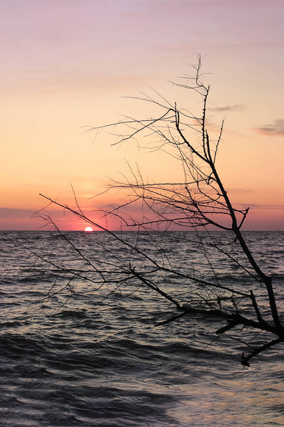 Aamunkoitto meren rauhan maisemasta, auringonlasku valtameren tasapaino ja rentoutumista
 - Valokuva, kuva