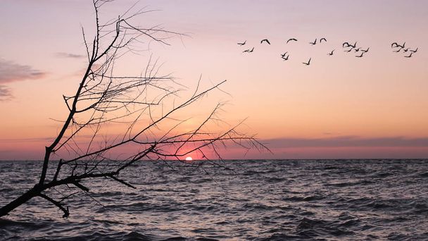 Aube au bord de la mer de paix du paysage, coucher de soleil au bord de l'océan équilibre et détente
 - Photo, image