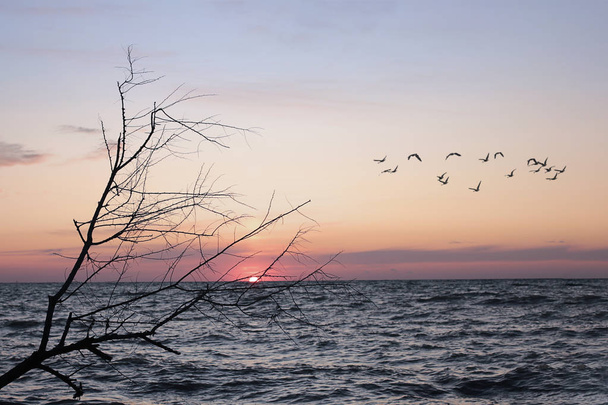 Dawn by the Sea of Peace vanuit het landschap, zonsondergang door de oceaan balans en ontspanning - Foto, afbeelding