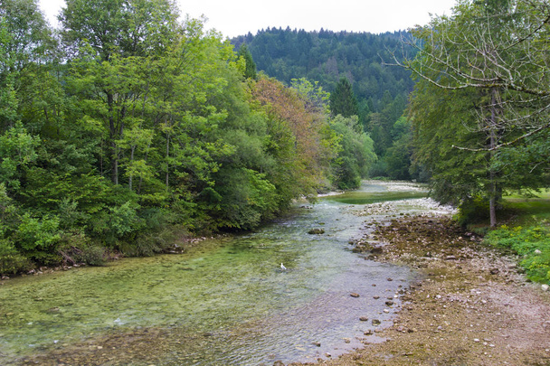 Beautiful scene in lake bohinj ,Slovenia - Photo, Image