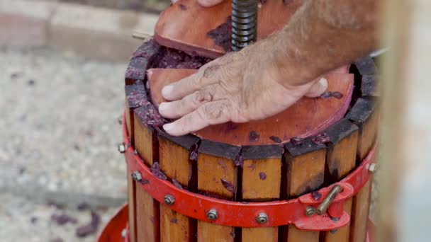 Traditional manual grape crusher. Winemaking - Footage, Video