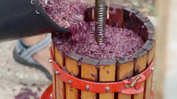 Hagyományos kézi szőlő Crusher. Borkészítés - Felvétel, videó