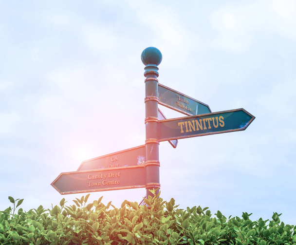 Handwriting text Tinnitus. Concept meaning A ringing or music and similar sensation of sound in ears Green road sign on the crossroads with blue sky and green grass in the background. - Photo, Image