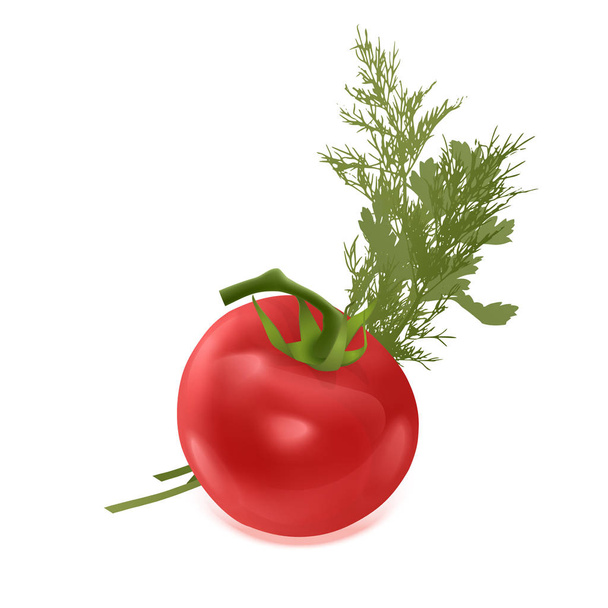 De rode tomaat groene rauwe peterselie en bos van verse dille Spice ingrediënt voor gezonde voeding of salade. - Vector, afbeelding