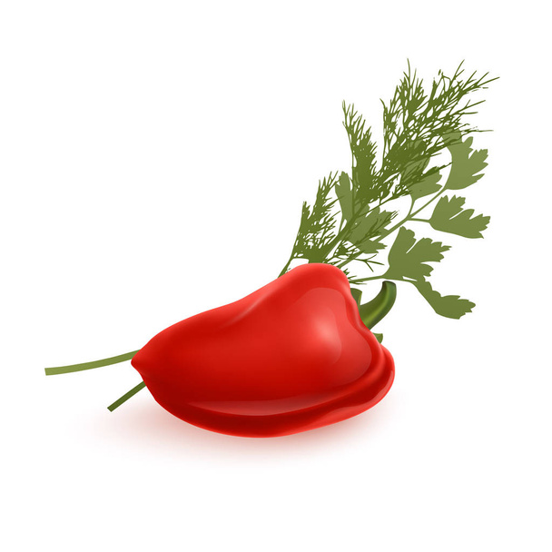 Fresh red pepper vegetable isolated on white background. pepper for farm market, vector illustration in Realistic style - Vector, Image