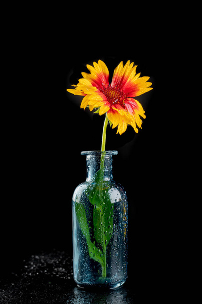 Fresh wild flowers in a glass vase on a dark table. Beautiful co - 写真・画像