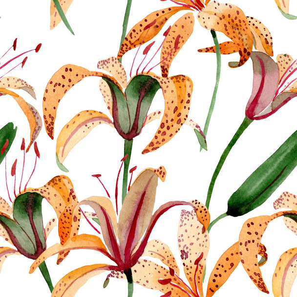 Помаранчеві лілійні макулоподібні квіткові ботанічні квіти. Набір акварельних ілюстрацій. Безшовний візерунок тла
. - Фото, зображення