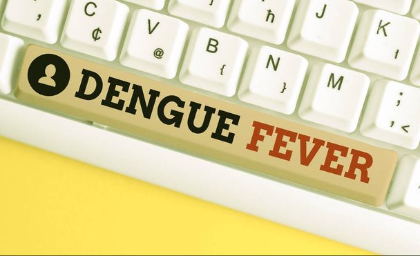Sinal de texto mostrando a febre da dengue. Foto conceitual doença infecciosa causada por um flavivirus ou mosquitos aedes Teclado pc branco com papel de nota vazio acima do espaço de cópia da chave de fundo branco
. - Foto, Imagem