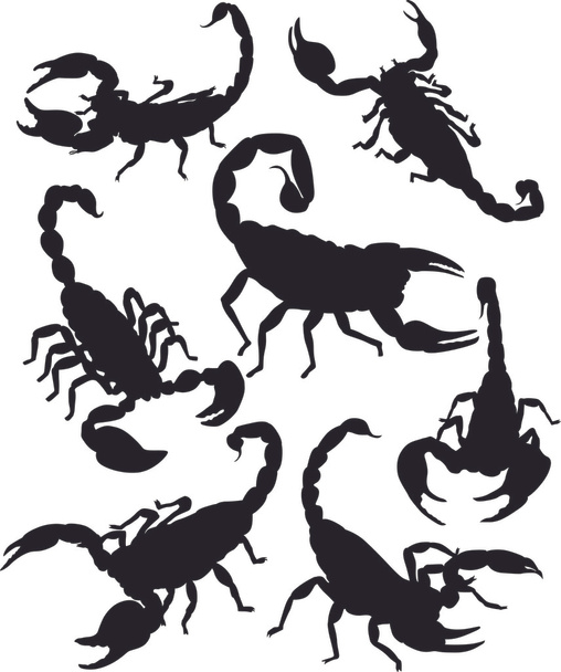 Vector scorpion silhouette - Vector, Image