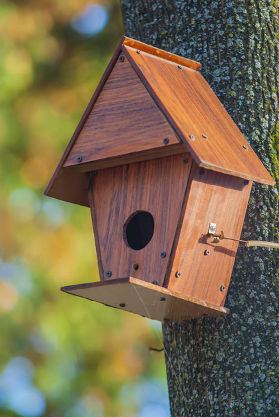 Wooden birds house in the tree - Photo, Image