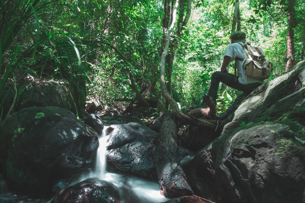 A man with a backpack sitting on rock in the stream looking at the greatness of the forest.concept on background of forest travel vacations in tropical forests of Thailand, Phang Nga, Koh yao yai - Foto, Imagem