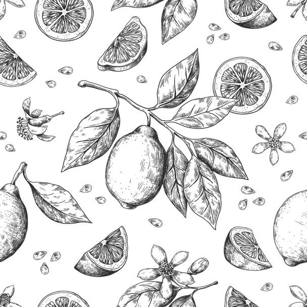 Hand drawn lemon pattern. Vintage seamless texture for juice label, citrus ink sketch. Vector orange lemon lime fruit pattern - Вектор, зображення