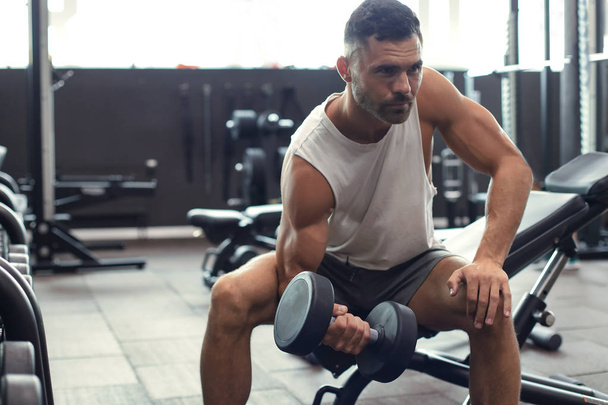 Fit and muscular man doing biceps workouts with dumbbells in gym, copy space. - Foto, afbeelding