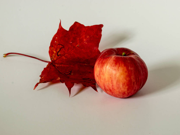 фотографія з червоними яблуками на кольоровому фоні кленового листя
 - Фото, зображення