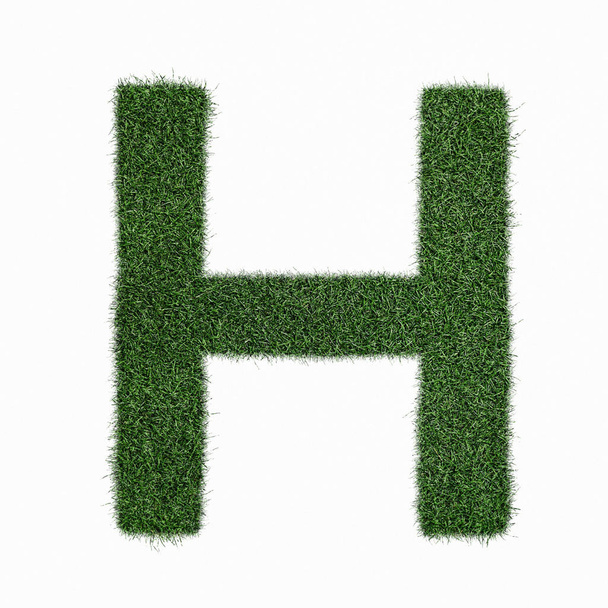 Letter H made of grass - aklphabet green environment nature - Photo, Image