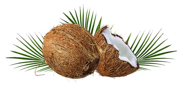 kokosové ořechy izolované na bílém pozadí - Fotografie, Obrázek
