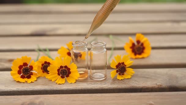 coreopsis essential oil in  beautiful bottle on table - Footage, Video
