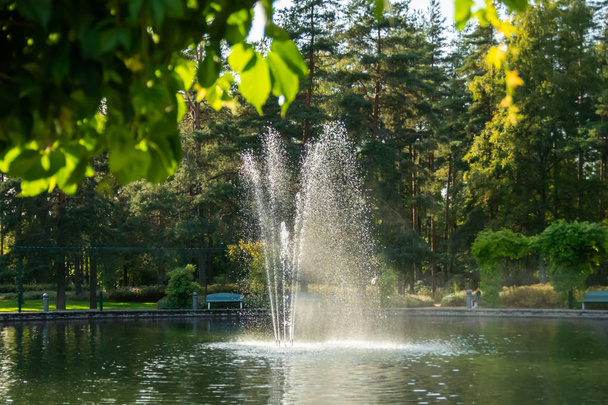 Bir gölet ve bir çeşme ile şehir merkezinde bir park, Kouvola, Finlandiya - Fotoğraf, Görsel