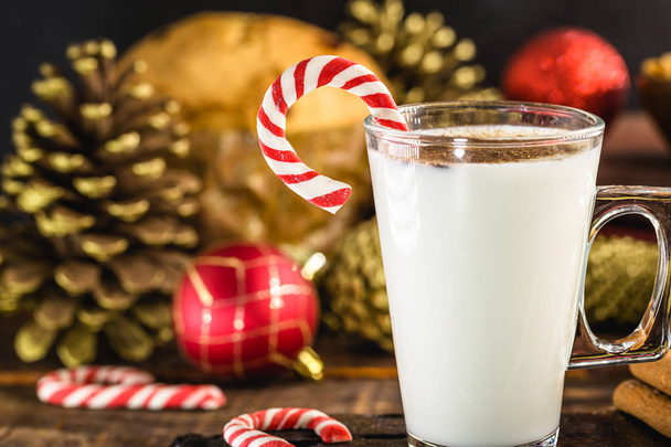 Typical winter christmas eggnog, drink to warm cold nights. Drink and homemade christmas dessert. - Valokuva, kuva