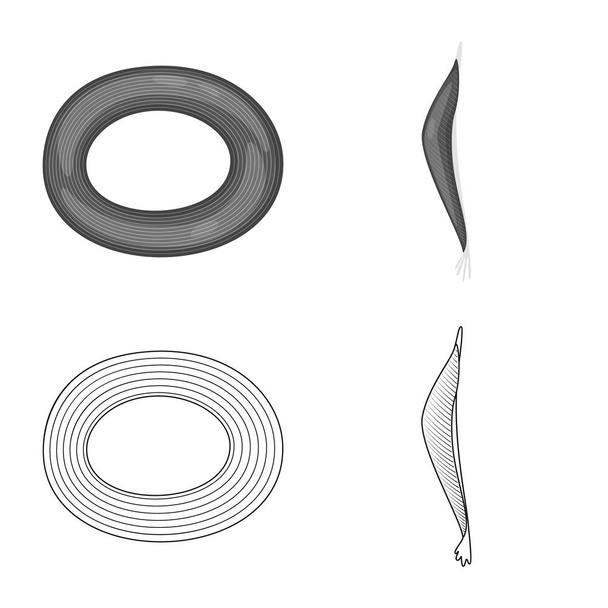 Vector design of fiber and muscular icon. Set of fiber and body stock vector illustration. - Vettoriali, immagini