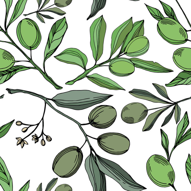 Vector Olive branch with fruit. Black and white engraved ink art. Seamless background pattern. - Vetor, Imagem
