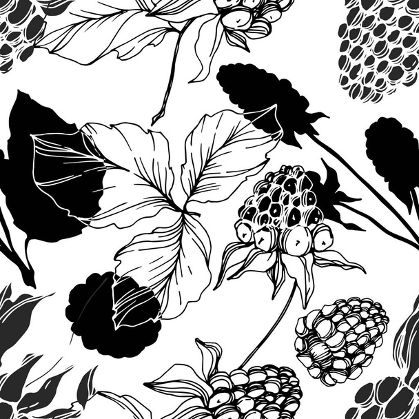 Vector Blackberry healthy food. Black and white engraved ink art. Seamless background pattern. - Vector, Image
