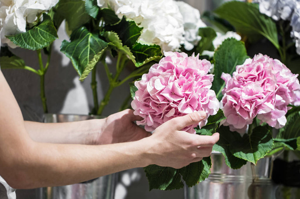 Hands holding a hydrangea flower in a flower shop - Foto, afbeelding