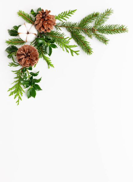 Christmas composition  with branches of spruce and holly  on whi - Foto, Imagen