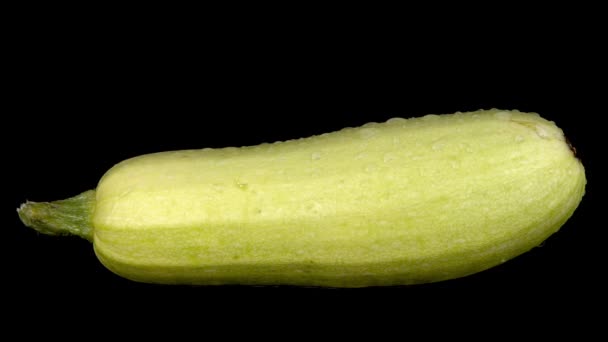 Wasser wird auf eine Zucchini gesprüht. auf schwarzem, isolierten Hintergrund - Filmmaterial, Video